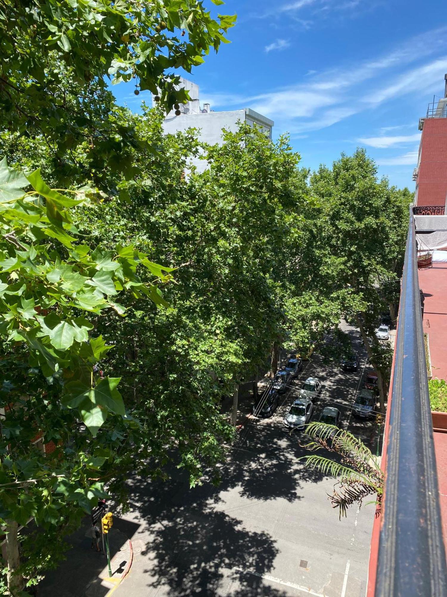 Edificio Quijano Leilighet Montevideo Eksteriør bilde