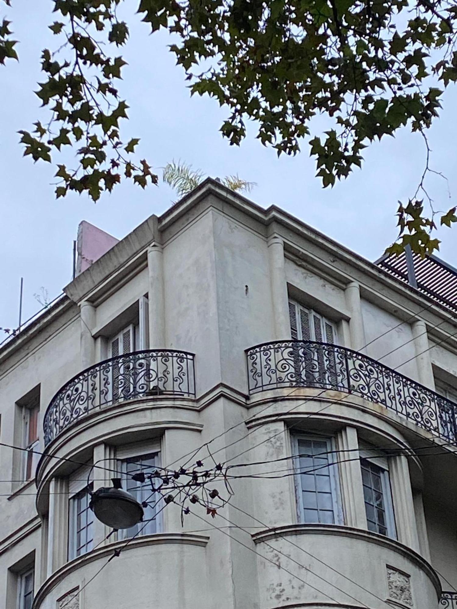 Edificio Quijano Leilighet Montevideo Eksteriør bilde